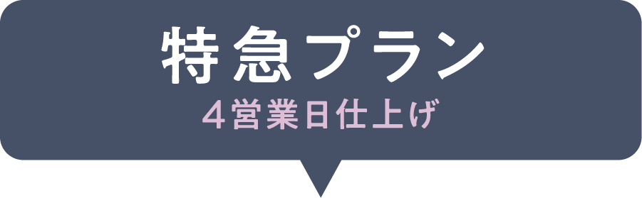 特急プラン