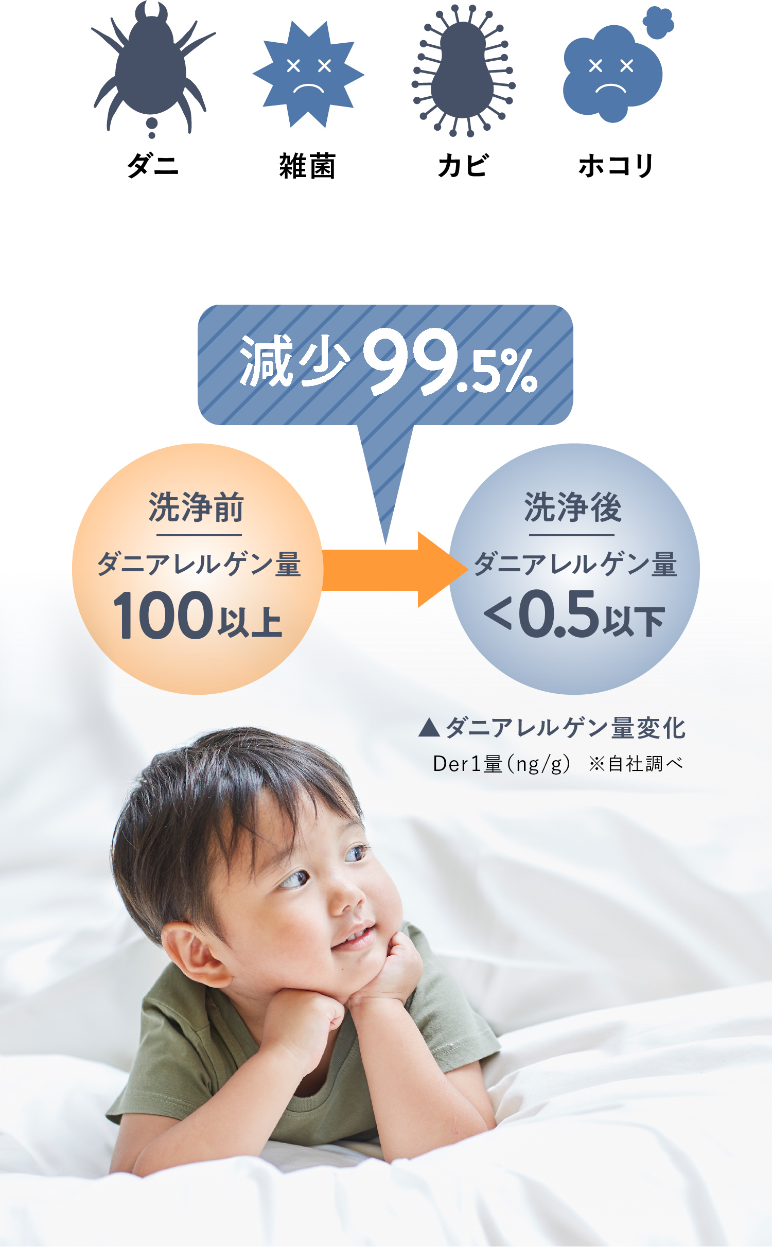 毛布のクリーニング 追加料金で最大4点まで可能 ラクリ