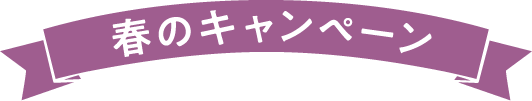 春のキャンペーン